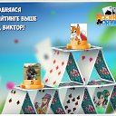 ���� �������, ��������, 54 ���� - ��������� 1 ���� 2016 � ������ �������� �������-�������