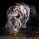 ���� ��������, �����������, 44 ���� - ��������� 29 ��� 2016 � ������ ������ ��������