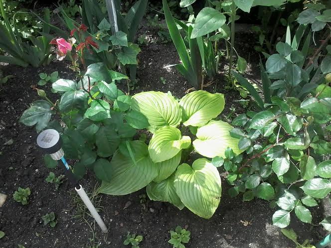 ��� ����� ! - 2