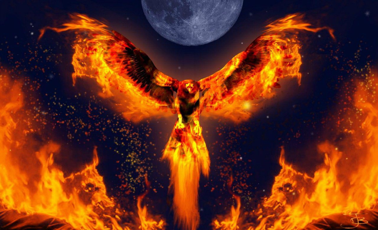 Anatoly Davronov - 19  2016  03:42