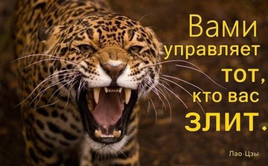   - 16  2016  15:44