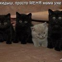  , - -  26  2016     vk.com/fotomimi