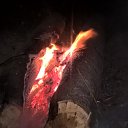 ���� �����, �����-���������, 43 ���� - ��������� 21 ���� 2016 � ������ ���� ����������