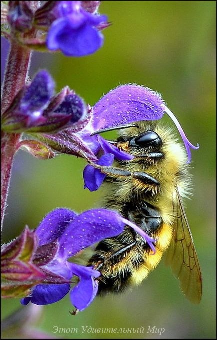   - 24  2016  20:31 - 4