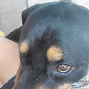 ���� Lena, ����, 39 ��� - ��������� 5 �������� 2016 � ������ ���� ����������