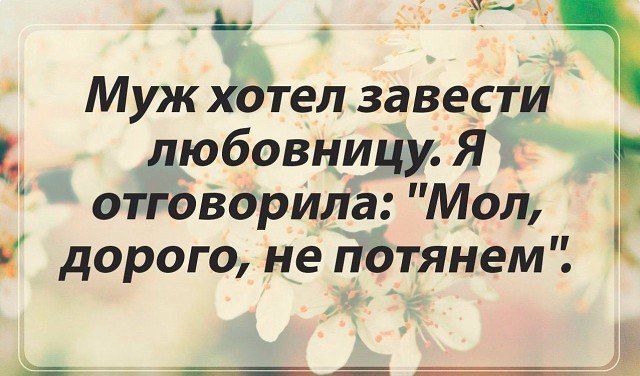 .https://fotostrana.ru/away?to=/sl/kxC2 - 26  2016  00:16