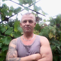 �����, ��������