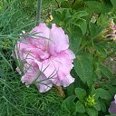 ���� �����, ������, 53 ���� - ��������� 11 ���� 2016 � ������ ���� ����������