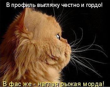    - 29  2016  13:13
