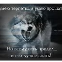 ���� �������, �����, 42 ���� - ��������� 5 �������� 2016