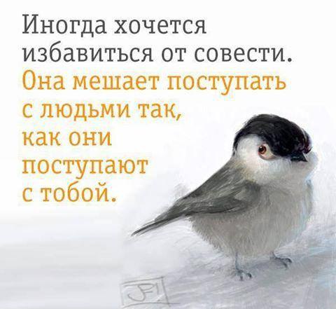  - 29  2016  23:05
