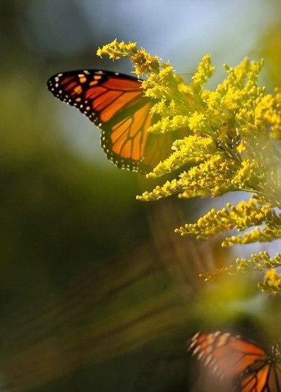 В тебе самом есть тишина, есть святилище, куда ты в любое время можешь удалиться, чтобы побыть самим ... - 4