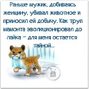 ���� Sk������, ������� - ��������� 26 ��� 2016 � ������ ���������� � �����