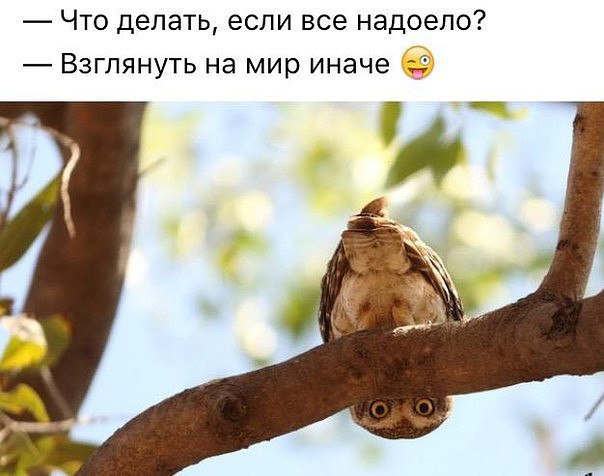   - 1  2016  12:04