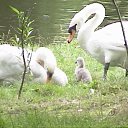  ,  -  22  2016    - Lietuva