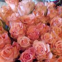 ���� �����, ����� - ��������� 13 ������ 2016 � ������ ���� ����������