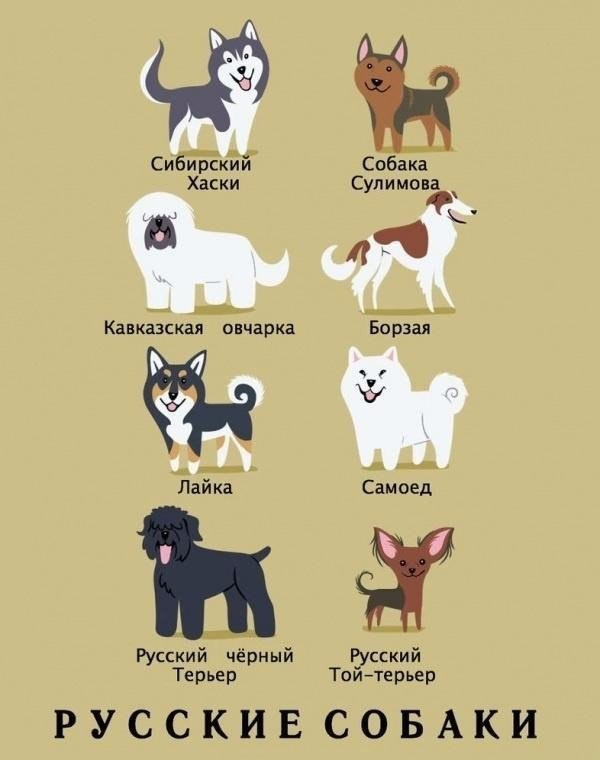  .#animal@travel.blog