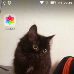 ������, ������ ��������, 48 ���