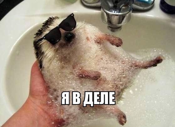    ! <a href=