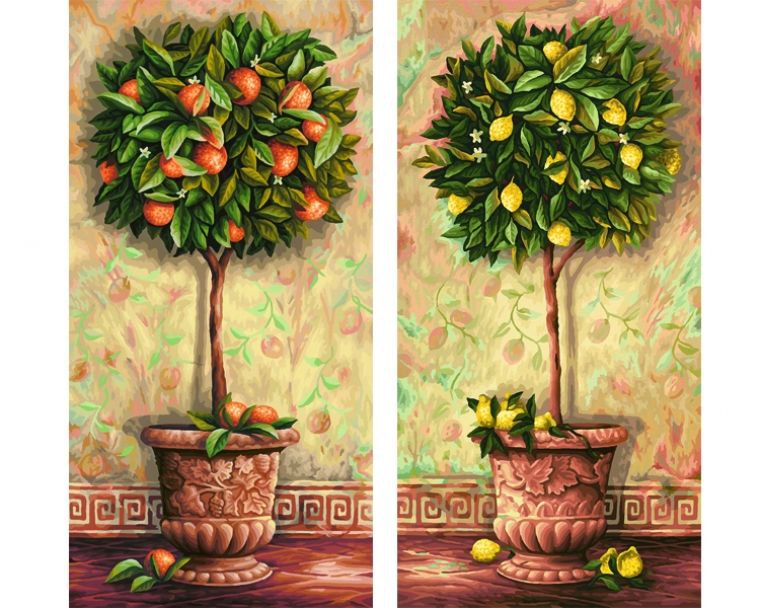 Апельсины, мандарины – символы изобилия, благосостояния, а также удачного замужества. Цветок ... - 5