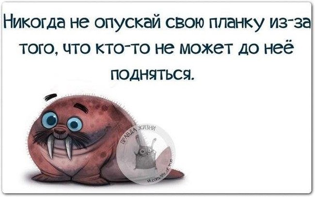 ���� - 22 ������ 2016 � 14:50