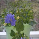 ���� �����, ���������, 49 ��� - ��������� 7 ���� 2016 � ������ ���� ����������