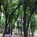 ���� Concilliano, �������, 57 ��� - ��������� 6 ��� 2016 � ������ ���� ����������