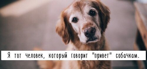  - 28  2016  18:32