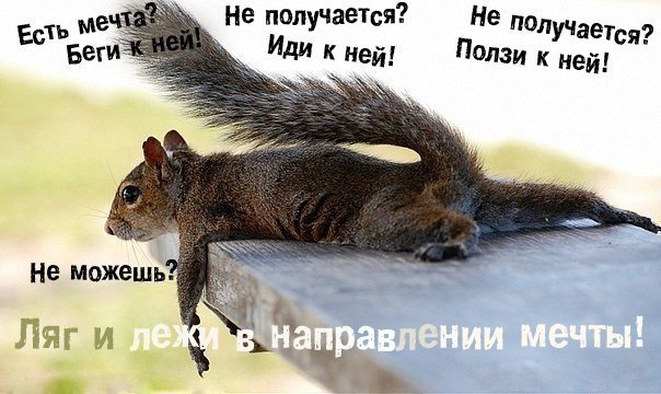 IQ Blog: , , ,  - 24  2016  19:00