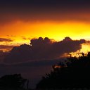  , , 65  -  18  2016   , , 