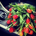 ���� �������, ��������� - ��������� 16 ����� 2016 � ������ ������ ��������