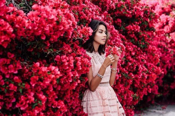    - 27  2016  21:45 - 5