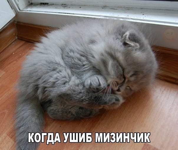    :D - 7  2016  14:04