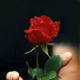 ������� ���� � �������.