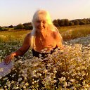 ���� �������, �������, 66 ��� - ��������� 8 ���� 2016