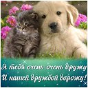 ���� ��������, ���������, 45 ��� - ��������� 14 ������� 2016 � ������ �������� ��������