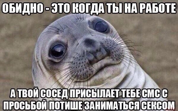  - 1  2016  21:44
