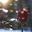 ���� ������, ����� - ��������� 23 ������� 2016 � ������ ������ ��������