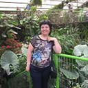 ���� ����� ����, ������������, 57 ��� - ��������� 27 ���� 2016 � ������ ������ ��������