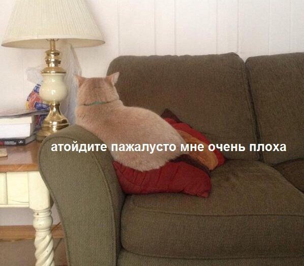 :