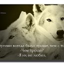 ���� ���������, ������, 57 ��� - ��������� 16 ���� 2016 � ������ ���� ����������