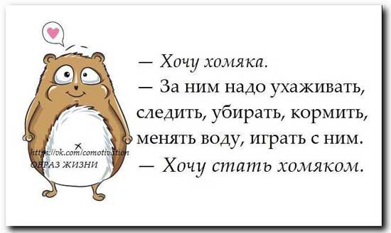   - 2  2016  13:08