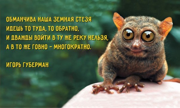 .https://fotostrana.ru/away?to=/sl/kxC2 - 16  2016  10:02