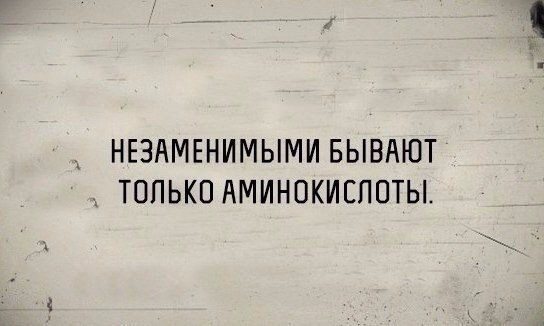   |   - 2  2016  08:11