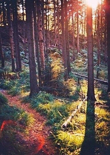 В тебе самом есть тишина, есть святилище, куда ты в любое время можешь удалиться, чтобы побыть самим ... - 3