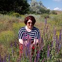 ���� 2016 ��� �� ������� ���� ����������