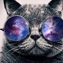 ���� ����, ������ ��������, 30 ��� - ��������� 10 ���� 2016