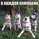 ���� �������, ������� - ��������� 9 ���� 2016 � ������ ���������