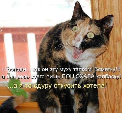   :D - 3  2016  18:36