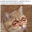 ���� �����, ������� - ��������� 8 ������� 2016 � ������ ������ ��������